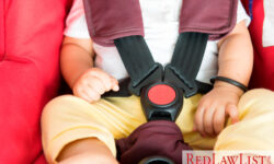 child in car seat